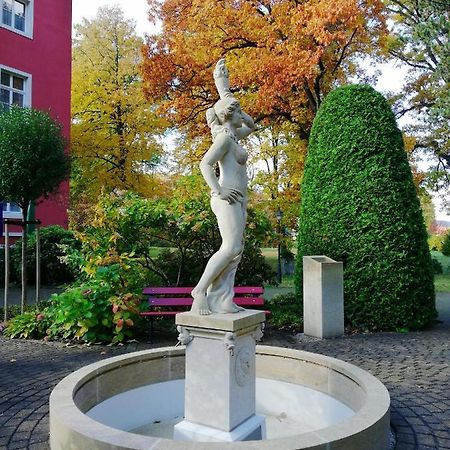Parkhotel Bad Schandau Mit Spa 外观 照片