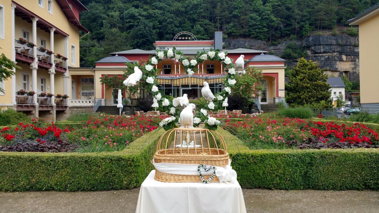 Parkhotel Bad Schandau Mit Spa 外观 照片